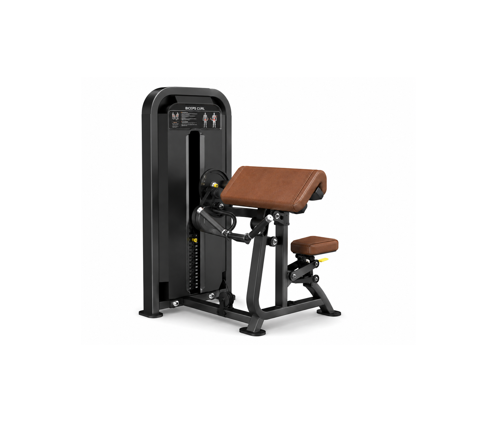 Bicep Curl Machine